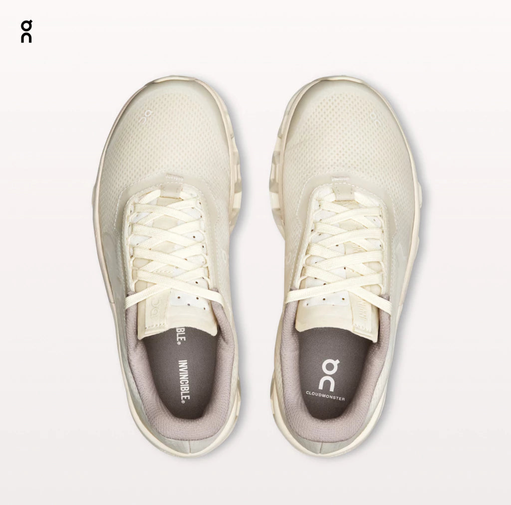 CLOUDMONSTER 2 INVINCIBLE